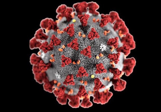 Prevencion coronavirus clinica dentalProtocolos COVID-19